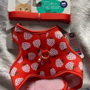 Cat Harness & Leash Set